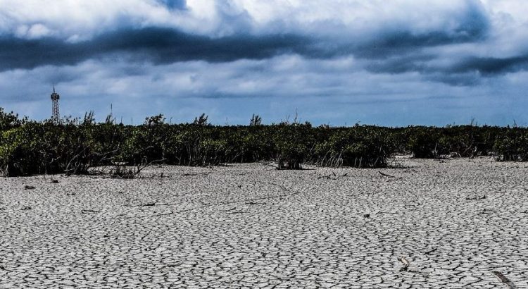 Sequía incrementa 7.5% en Quintana Roo: Conagua