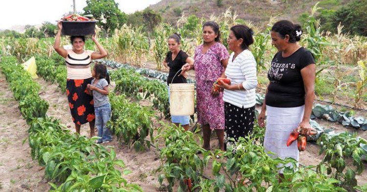 Entregará AMLO certificados de derechos agrarios a mujeres campesinas de Chetumal