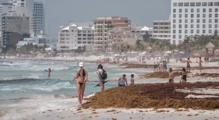 Destinan más de 32 mdp para atender playas de Quintana Roo afectadas por el sargazo