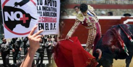 Congreso de Quintana Roo prohíbe corridas de toros
