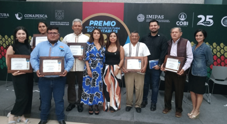 Langosteros de Punta Allen ganan reconocimiento nacional por pesca comercial de pequeña escala