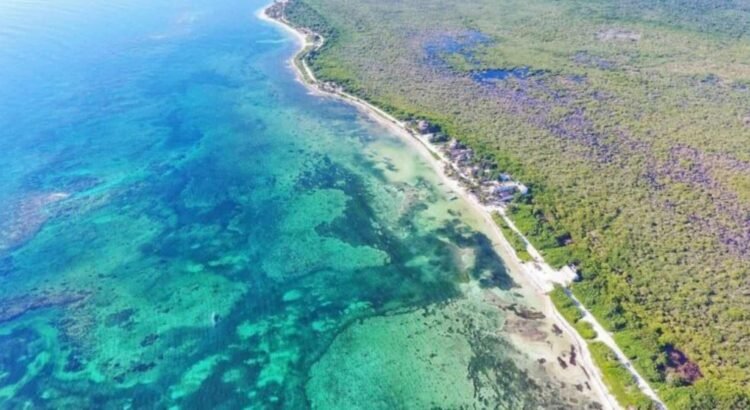 Royal Caribbean Group anuncia inversión de 600 mdd para Mahahual