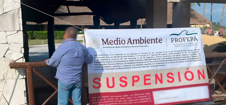 Suspende Profepa delfinario del hotel Barceló en Riviera Maya