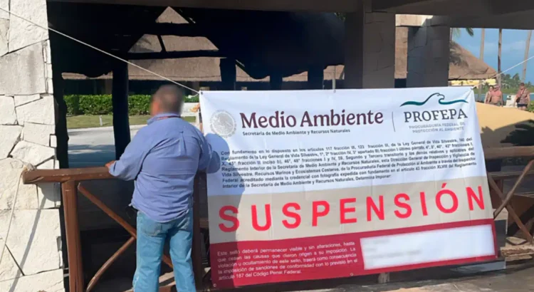 Suspende Profepa delfinario del hotel Barceló en Riviera Maya