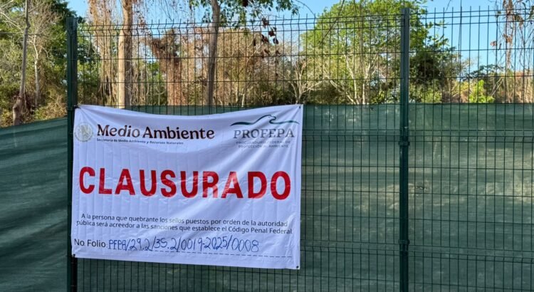 Clausura Profepa predio desmontado en Playacar