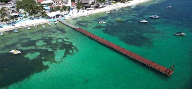 Alistan proyecto energético en Puerto Morelos