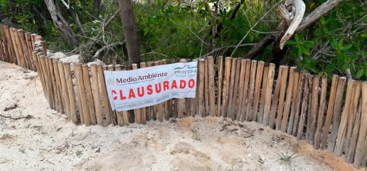 Profepa clausura dos desarrollos inmobiliarios en Holbox